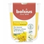 Attēls no Bolsius wieca aromatyczna szklana True Scents O80x73mm mimosa 8717847188519 8717847188519 (8717847188519)