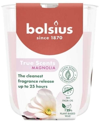 Attēls no Bolsius wieca szklana magnolia True Scents O80x73mm 8717847188571 8717847188571 (8717847188571)