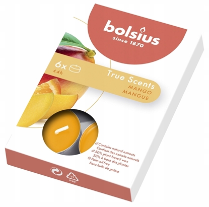 Attēls no Bolsius wiece aromatyczne Tejas mango True Scents 8717847151476 8717847151476 (8717847151476)