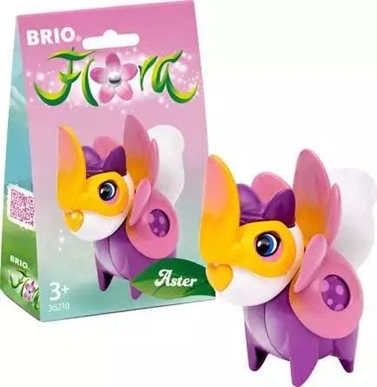 Picture of Brio Aster Flower Outfit