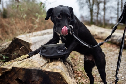 Изображение Collapsible Dog Food Bowl, Black