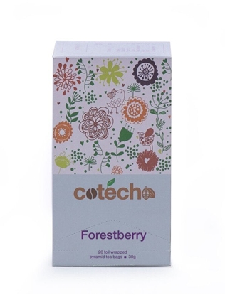 Picture of Cotecho Herbata owocowa Forestberry 25 piramidek