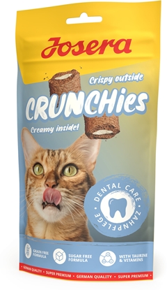 Picture of Crunchies Dental 60g