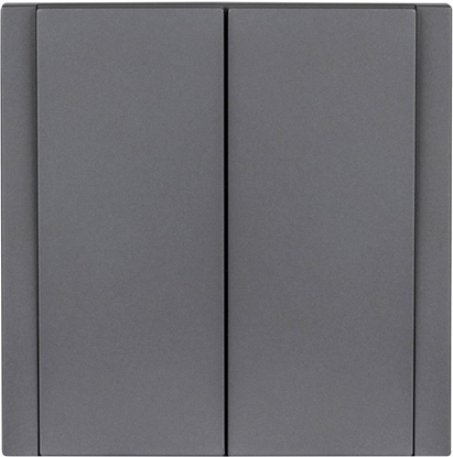 Picture of cznik podwójny szary WESA - CC TR 02