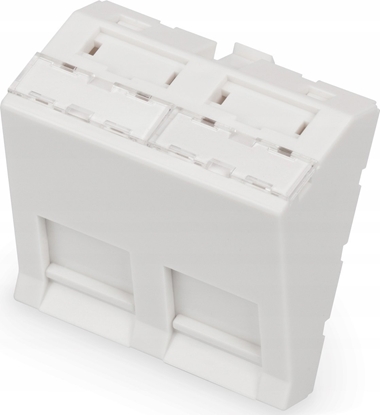 Picture of Digitus Front panel, 2-port, 45 x 45 mm, angled, for frame DN-93802-5-SH