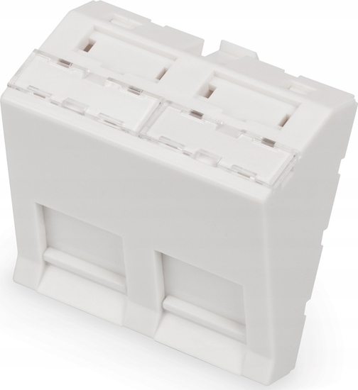 Picture of Digitus Front panel, 2-port, 45 x 45 mm, angled, for frame DN-93802-5-SH