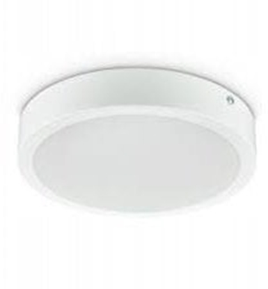 Изображение Downlight Ledinaire DN065C G4 19W 2000lm 4000K LED20/840 19W 220-240V 8-D225 5 lat gwar