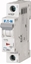 Picture of Eaton Wycznik nadprdowy 1P B 16A 6kA AC PL6-B16/1 286521