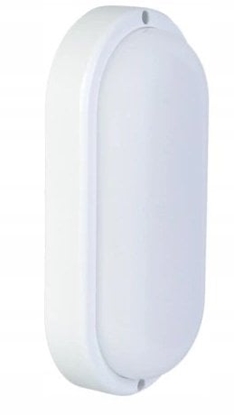 Attēls no Eko-Light Oprawa piwniczna poduny 20W