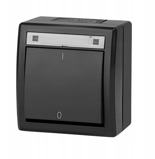 Picture of Elektro-Plast AQUANT 2K cznik nacienny dwubiegunowy IP55 antracytowy 5003-17