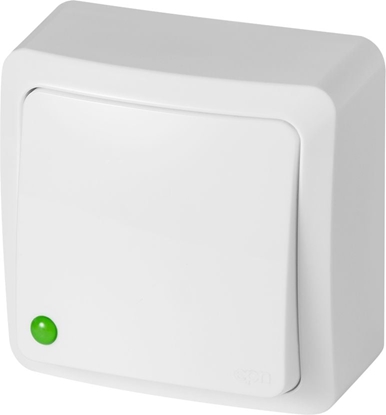 Изображение Elektro-Plast cznik zwierny wiato n/t 10AX IP20 biay (3713-00)