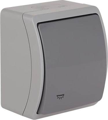 Attēls no Elektro-Plast Koala Przycisk IP44 popiel/grafit VW 156-08 (61.355)