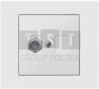 Attēls no Elektro-Plast Vestra Gniazdo antenowe TV pojedyncze typ ff bez ramki podtynkowe IP20 biay 3886-10