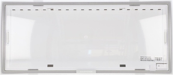 Picture of Es-System Oprawa awaryjna MONITOR 1,2W 1h OP2-S1,2TC1N uniwersalna 8796440