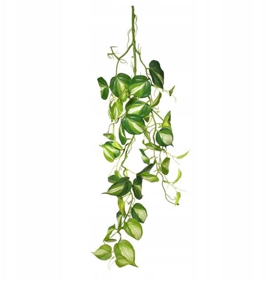 Picture of Exo Terra Dekoracja do terrarium wiszca rolina rednia 23*15*94cm