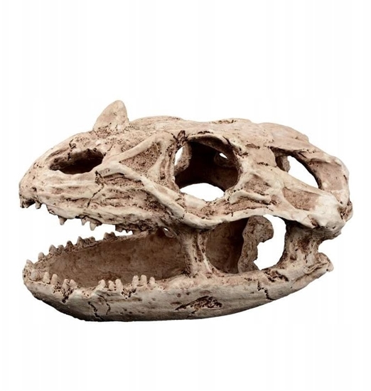 Picture of Exo Terra Dekoracja terrarystyczna kryjówka czaszka reptilozaura 19cm