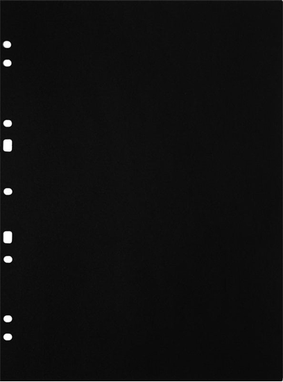 Picture of Focus Carton Refillsheets for ringbinder A4 Black 30-pack