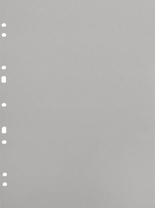 Attēls no Focus Carton Refillsheets for Ringbinder A4 Grey 30-pack