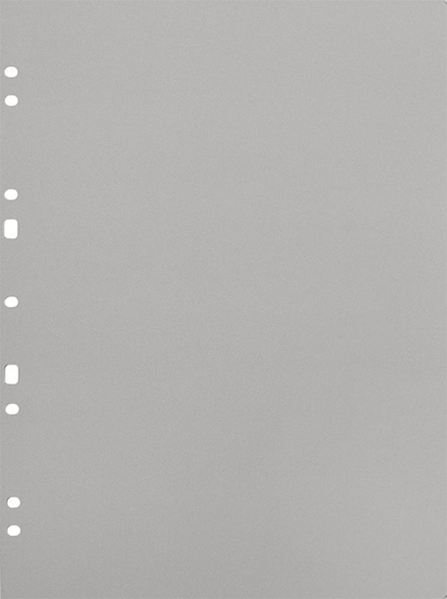 Picture of Focus Carton Refillsheets for Ringbinder A4 Grey 30-pack