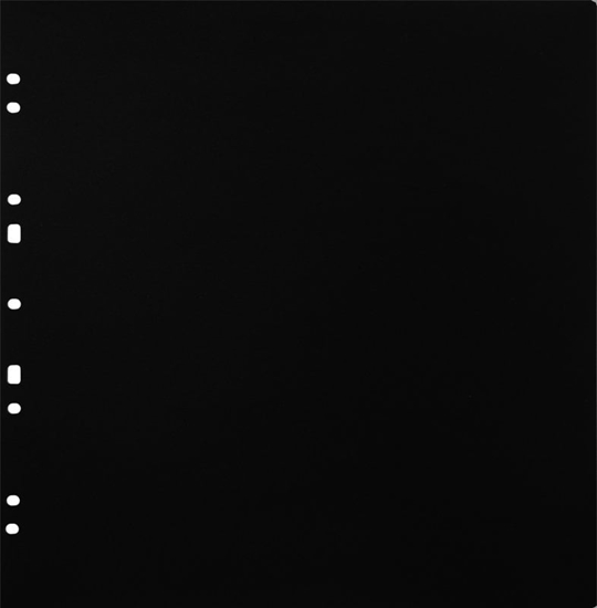 Picture of Focus Carton Refillsheets for Ringbinder Gigant Black 10-pack