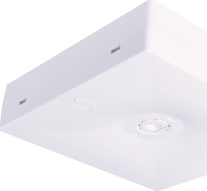 Picture of Intelight Oczko awaryjne N/T Starlet QUAD LED SO 150 SA 3H MT IP20 INLEWA 92814