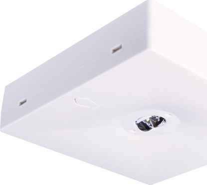 Picture of Intelight Oprawa awaryjna natynkowa STARLET QUAD LED SC 150 A 1H MT IP20 / INLEWA 92901