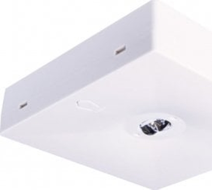 Picture of Intelight Oprawa awaryjna natynkowa STARLET QUAD LED SOH 350 A 2H AT IP20 / soczewka otwarta do wysokich pomieszcze / INLEWA 92875