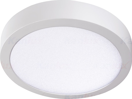 Picture of Kanlux Oprawa owietleniowa LED CARSA V2LED 24W-NW-W