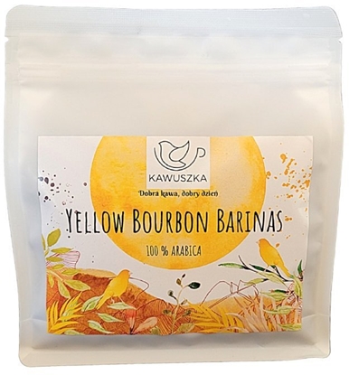 Picture of Kawa ziarnista Kawuszka Kawa ziarnista Brazylia Yellow Bourbon Barinas PRZELEW 250g