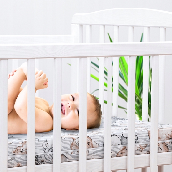 Picture of Kids2 R2 MATERAC STANDARD DLA DZIECI ZEBRA I LEW