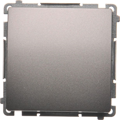 Attēls no Kontakt-Simon cznik pojedynczy Simon Basic 10AX 250V inox (BMW1.01/21)