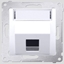 Picture of Kontakt-Simon Pokrywa gniazda teleinformatycznego pojedynczego SIMON54 z polem opisowym biaa - DKP1S.01/11