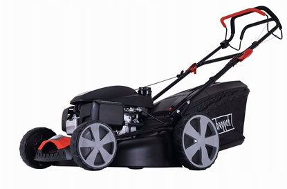 Attēls no Kosiarka spalinowa Scheppach Kosiarka spalinowa MS170-53H