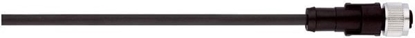 Изображение LAPP Przewód przyczeniowy 5m z gniazdem prostym 8P FIELDBUS M12 S/A AB-C8-5,0PUR-M12FS (22260728)