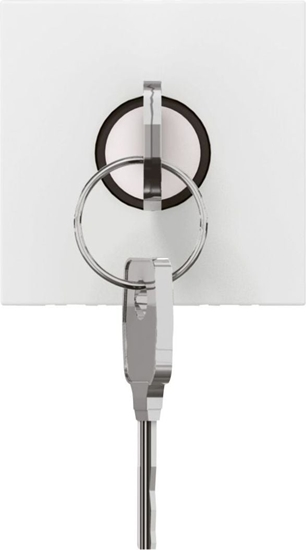 Picture of Legrand Wycznik na klucz Mosaic do lamp awaryjnych biay (076630)