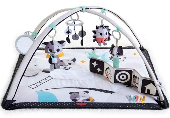 Picture of Mark Adler GIMNASTYKA DLA BOBASA Z PAKAMI MAGICZNA KRAINA CZ/B ECO*