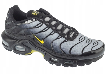 Picture of Nike Air Max Plus DM0032-012 szary 39