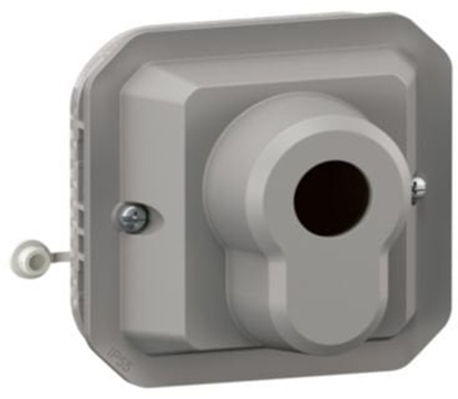 Picture of NOWE PLEXO 55 cznik na klucz 3 pozycje mechanizm 10 AX - 250V AC szary 069535L