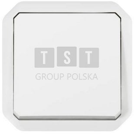 Picture of Legrand PLEXO55 wycznik korespondencyjny 10A 2 modul biay