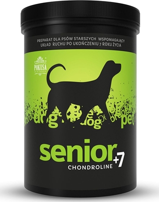 Picture of POKUSA ChondroLine Senior 350g
