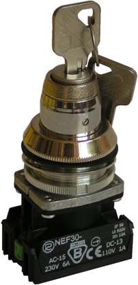 Attēls no Promet Przecznik 2 pooeniowy niestabilny klucz 30mm srebro 1Z 1R bez samopowrotu NEF30TZbM (W0-NEF30-TZBM XY)