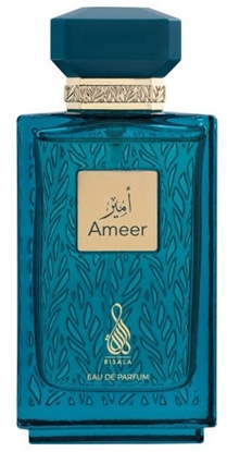 Изображение RISALA Ameer EDP spray 100ml