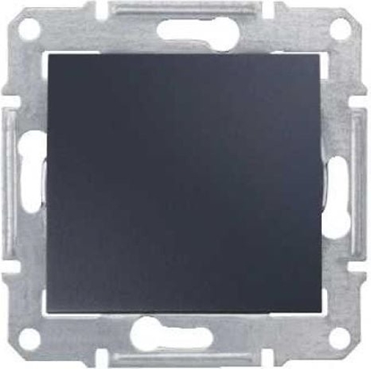 Picture of Schneider Electric cznik dwubiegunowy Sedna 16A grafitowy (SDN0200270)