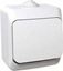 Изображение Schneider Electric cznik hermetyczny Cedar Plus natynkowy jednobiegunowy 16AX IP44 biay WNt-100YF (WDE000510)