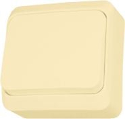 Picture of Schneider Electric cznik Prima 1-biegunowy beowy IP20 WNt-100P (WDE001110)