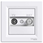 Picture of Schneider Electric Gniazdo antenowe TV-SAT przelotowe 4dB biae - EPH3400221