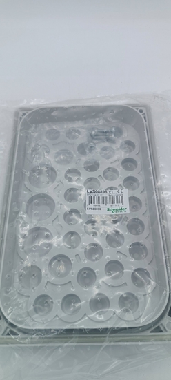 Picture of Schneider Electric Pyta dawnicowa FL21 IP55 39X7 - 6 LVS08898