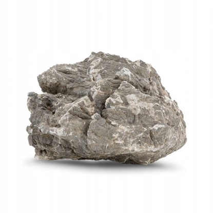 Picture of Skaa skorupa ówia, dekoracyjna do akwarium / terrarium 15-35 cm