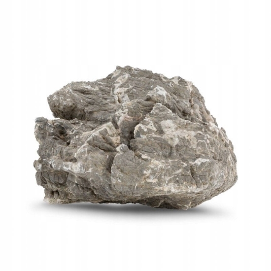 Picture of Skaa skorupa ówia, dekoracyjna do akwarium / terrarium 15-35 cm