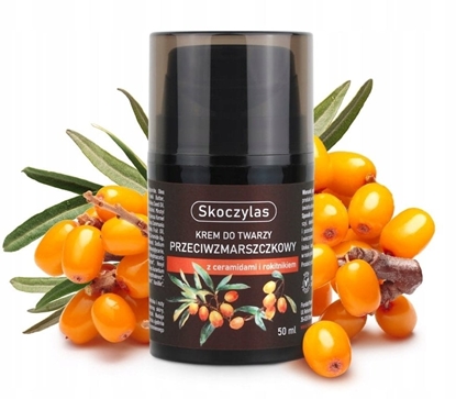 Picture of SKOCZYLAS_Krem do twarzy przeciwzmarszczkowy ceramidy i rokitnik 50ml